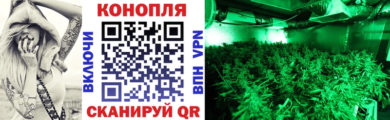 Шишки марихуана марихуана  сайты даркнета официальный сайт  Артём 